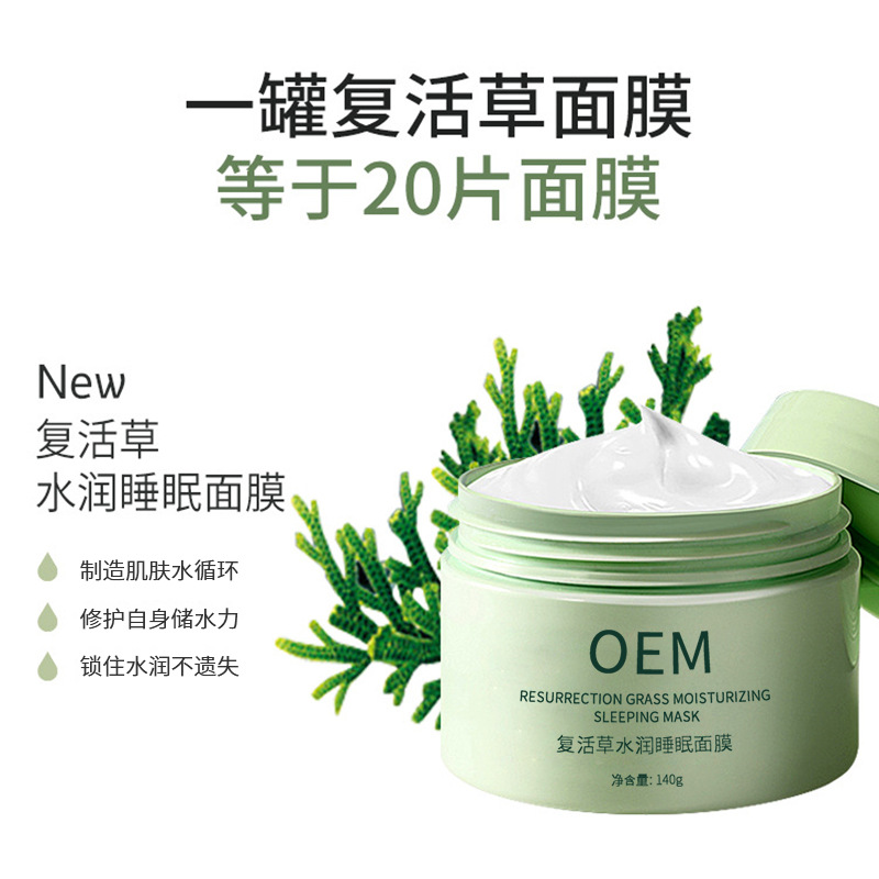 西藏_复活草睡眠面膜OEM
